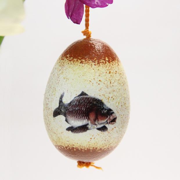 Húsvéti tojás horgászoknak - ponty